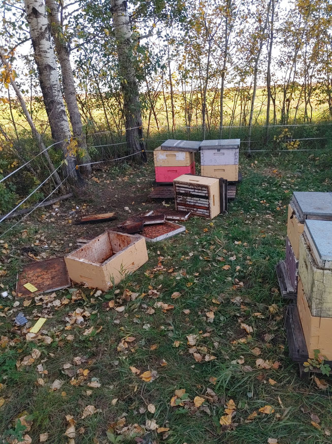 2021 Season photo 57